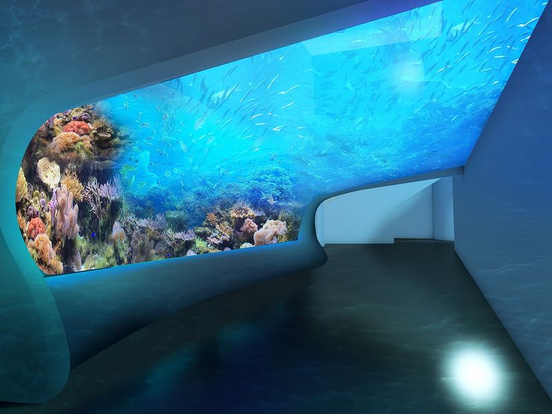 DMMかりゆし水族館